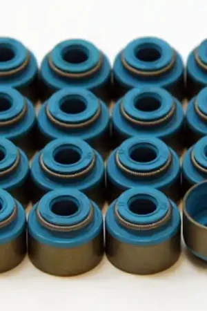 GSC P-D Toyota MR-2 3SGTE Viton 6mm Valve Stem Seal Set Today Only