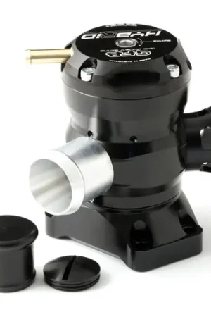 High Quality GFB HYBRID TMS Dual Outlet 2017+ Hyundai i30N 2.0T