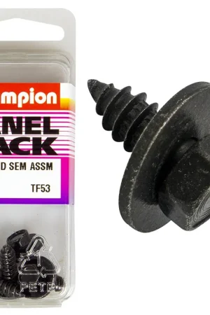 Clearance Champion Fasteners Self Tapping Screws (Self Tapping Screws\\/SEMS Screws with Flat Washers, 5.5x19mm, Black) - Pack of 4 - TF53