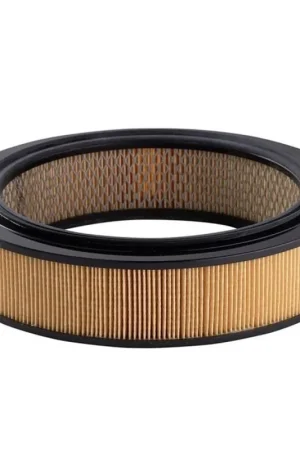 Clearance Ryco Air Filter - A1208