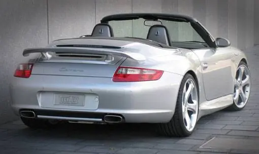 Hot Picks Rearwing Type III