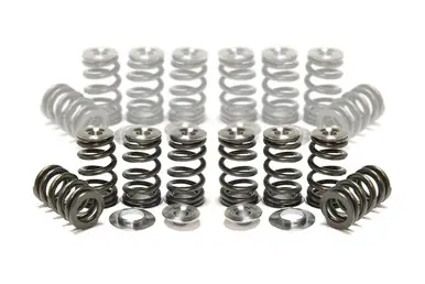 Buy Direct GSC P-D Single Beehive Spring Kit Titanium Retainers/Chromoly Seats 13-15 Scion FR-S / BRZ FA20
