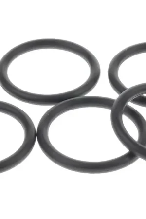Secure Checkout Raceworks E85 Safe O-Rings AN-20 5Pk
