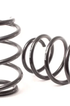 H&R 99-03 BMW M5 E39 Sport Spring (Front Only) | Graveyard Performance Bulk Order