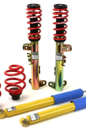 Don’t Miss Out H&R 94-96 BMW M3 3.0L E36 Street Perf. Coil Over | Graveyard Performance