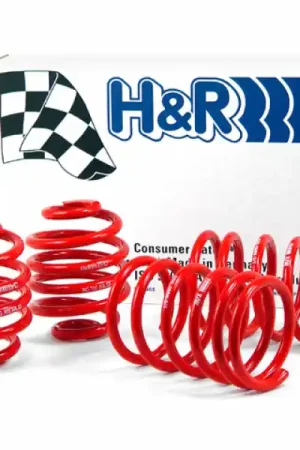 Premium H&R 85-91 BMW 325e/325i/325is E30 Race Spring (Non Cabrio/Tuner Fitment) | Graveyard Performance